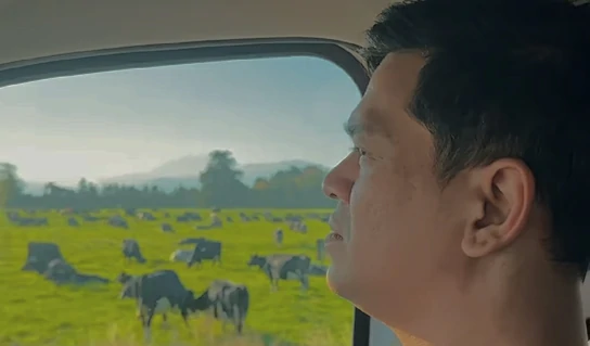 Surya Insomnia travelling in New Zealand